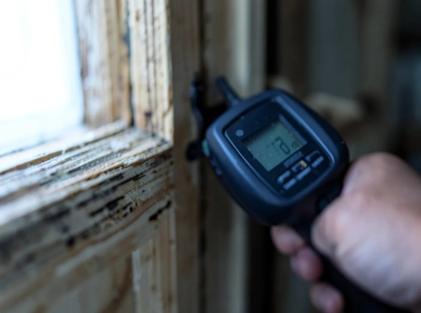 Moisture Inspection And Documentation in Greenock, PA